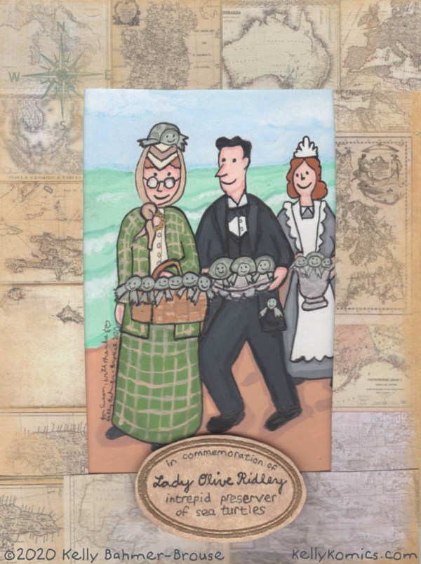 The intrepid Lady Olive Ridley