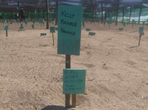 A sign marking "my" turtle nest
